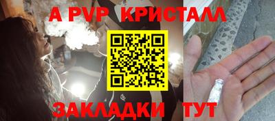 apvp Кингисепп