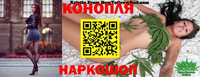 apvp Кингисепп