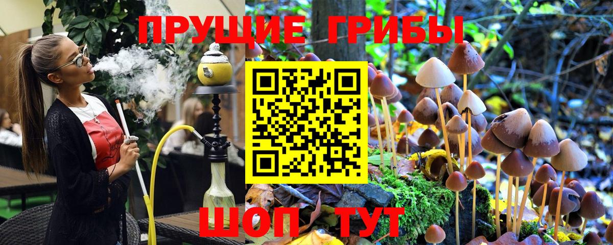 Коряжма  Псилоцибиновые грибы мухоморы  Вход с VPN 